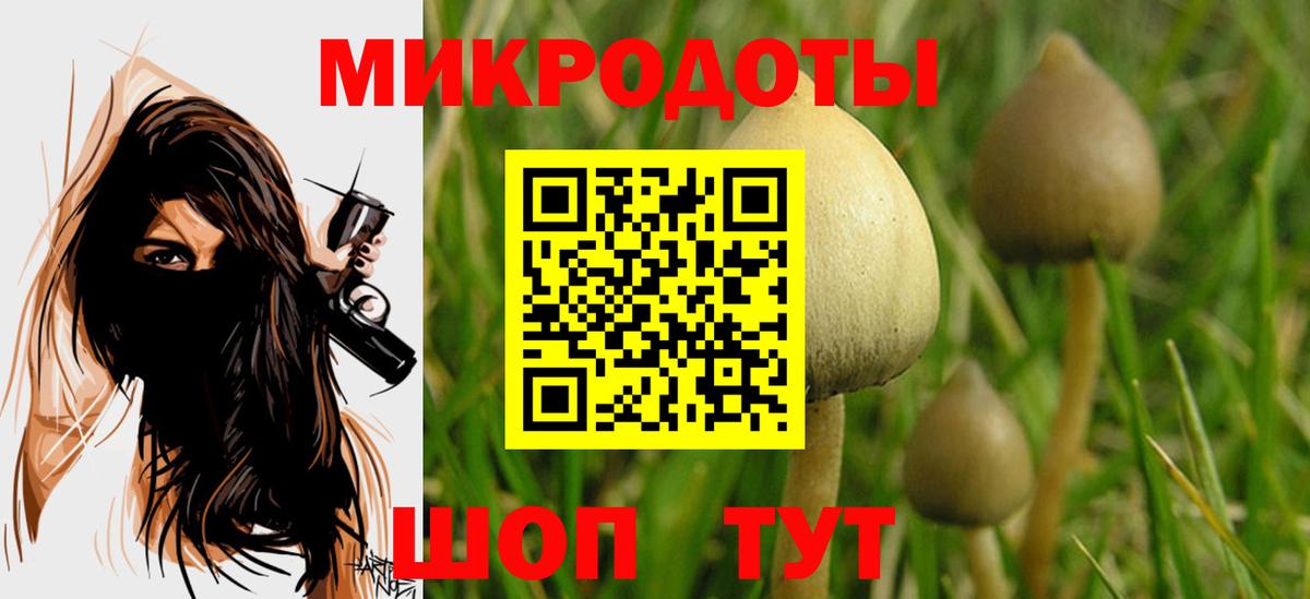 Вятские Поляны  цена наркотик  Вход с VPN  Псилоцибиновые грибы GOLDEN TEACHER 