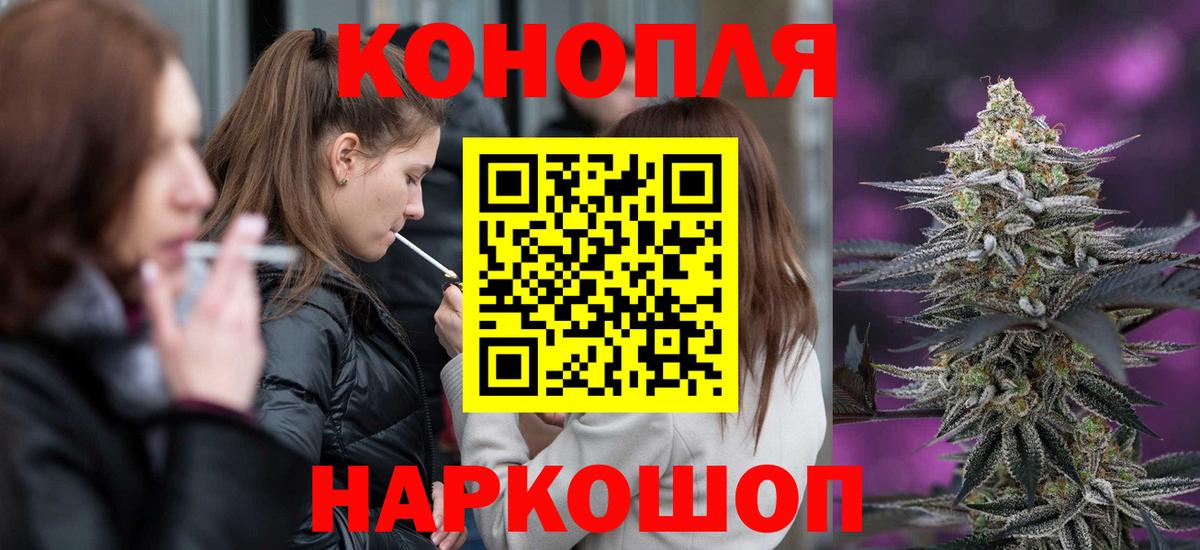 Конопля гибрид Вятские Поляны